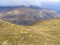 Albums/20060200-New Zealand 2006/20060209-Haast-Wanaka/33